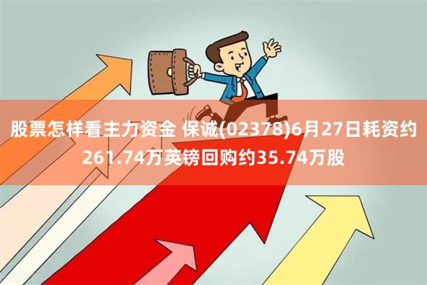 股票怎样看主力资金 保诚(02378)6月27日耗资约261.74万英镑回购约35.74万股