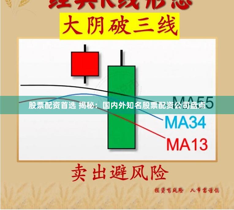 股票配资首选 揭秘：国内外知名股票配资公司盘点