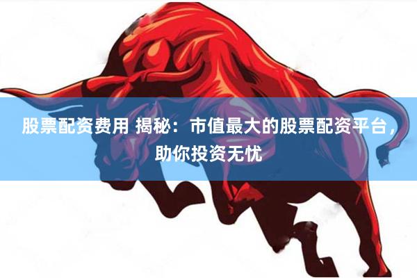 股票配资费用 揭秘：市值最大的股票配资平台，助你投资无忧