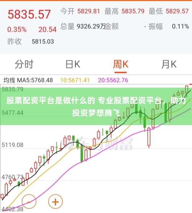 股票配资平台是做什么的 专业股票配资平台,助力投资梦想腾飞