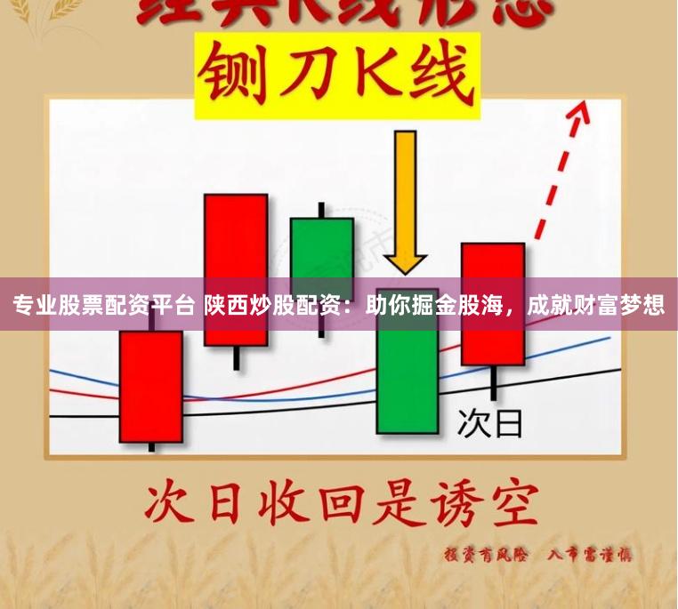 专业股票配资平台 陕西炒股配资：助你掘金股海，成就财富梦想