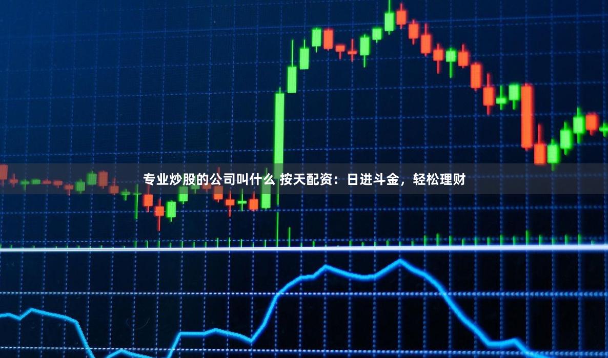 专业炒股的公司叫什么 按天配资：日进斗金，轻松理财