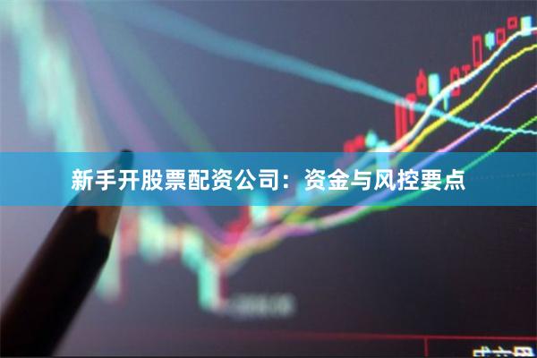 新手开股票配资公司：资金与风控要点